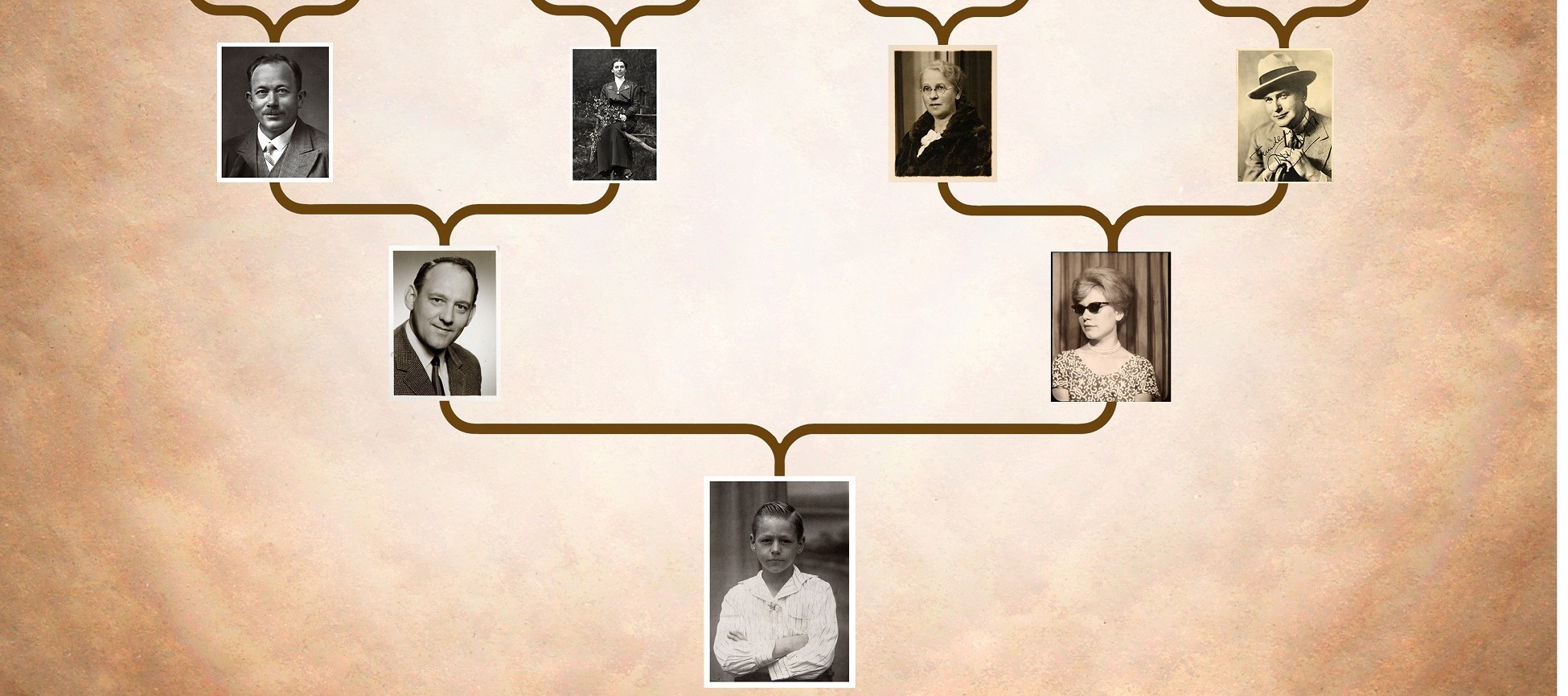 Aplicativo para descobrir seus antepassados